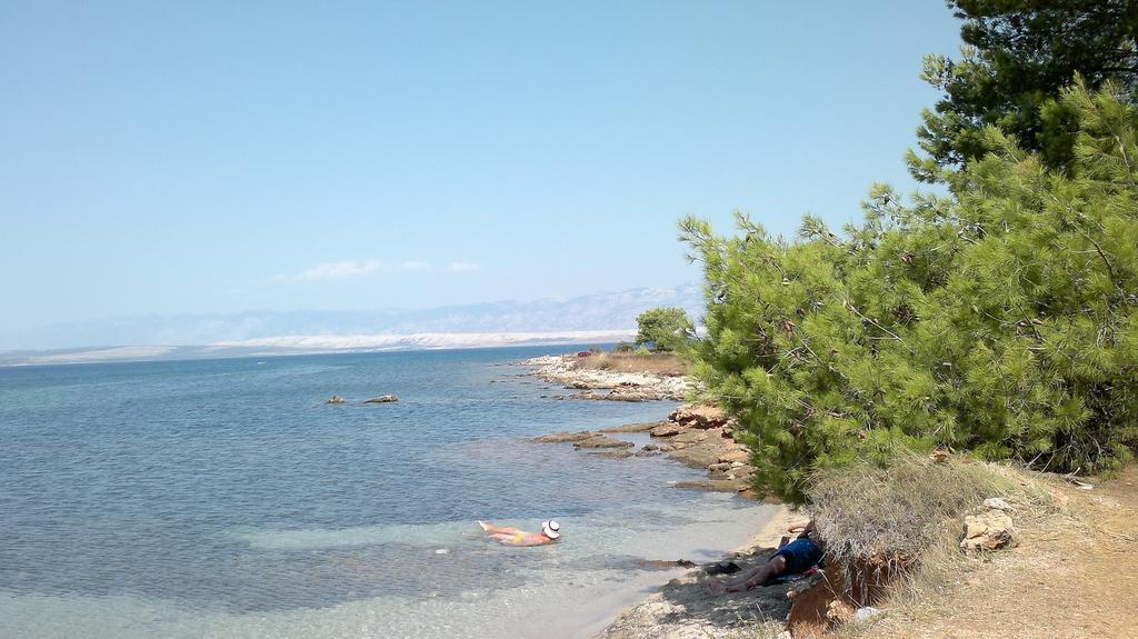 Apartments Jolic Vir Δωμάτιο φωτογραφία