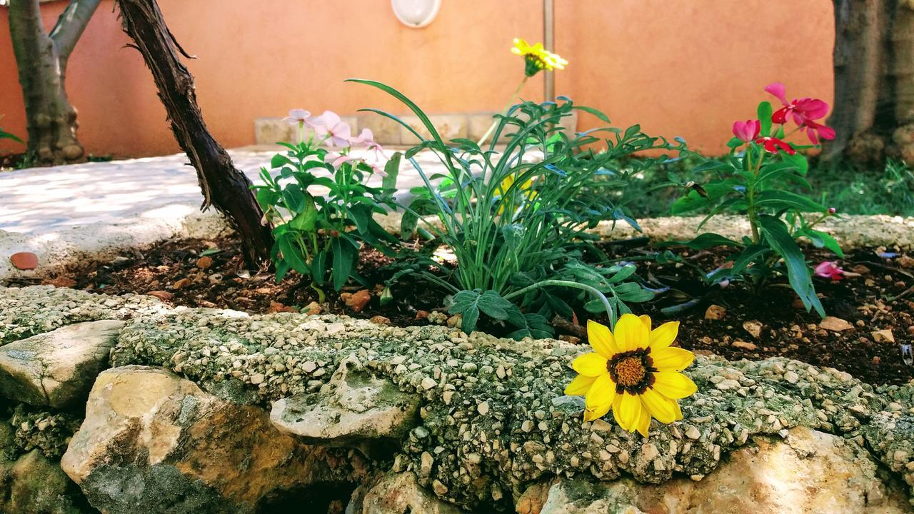 Apartments Jolic Vir Εξωτερικό φωτογραφία